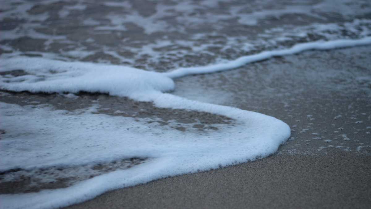 Was it a shark? Woman bitten while swimming off Martha's Vineyard beach