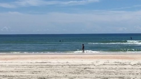 Surfer Bitten On Foot By Shark In New Smyrna Beach Officials Say