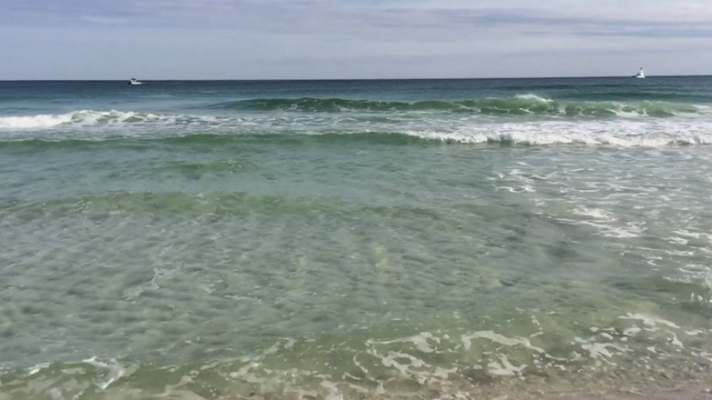 22 Year Old Woman Bit By Shark While On Surf Board In New Smyrna Beach