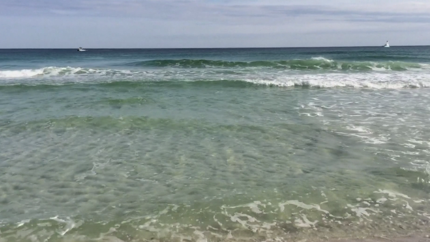 22 Year Old Woman Bit By Shark While On Surf Board In New Smyrna Beach