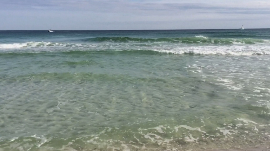 Two Surfers Bitten By Shark In New Smyrna Beach Officials Say