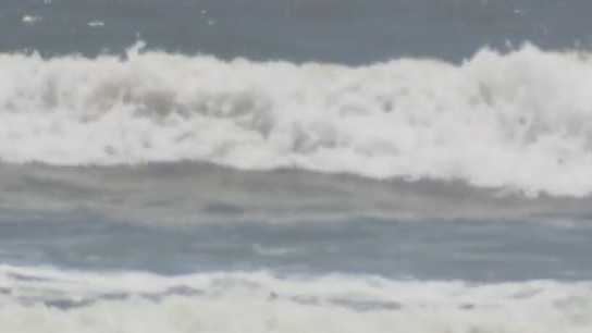 Florida man bitten by shark rescued by teenage surfer - Vimarsana News