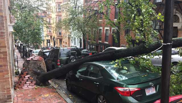 Nor'easter leaves thousands without power in New England - Vimarsana News