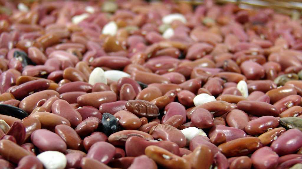 10 Foods that last forever