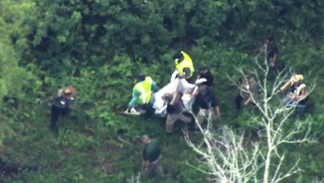 Magic Kingdom bear sighting prompts closures - Vimarsana News