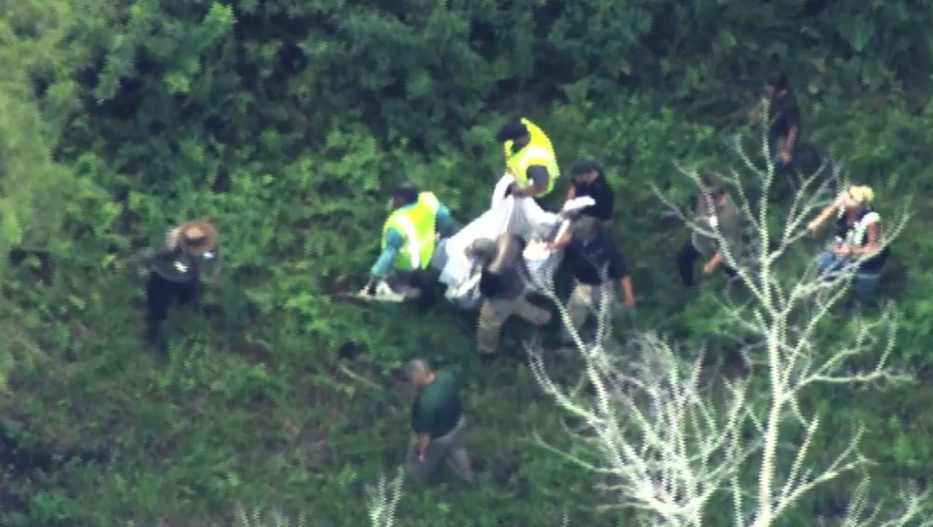 Bear sighting at Magic Kingdom prompts closure