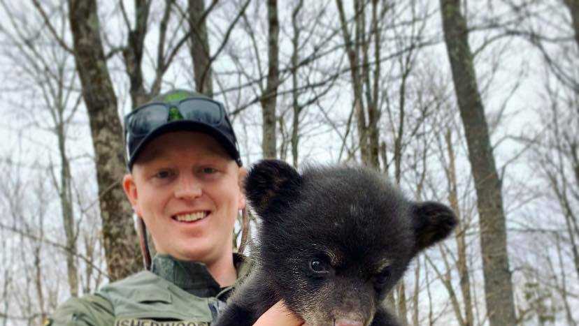 Vermont Game Warden Rescues Orphaned Bear Cub