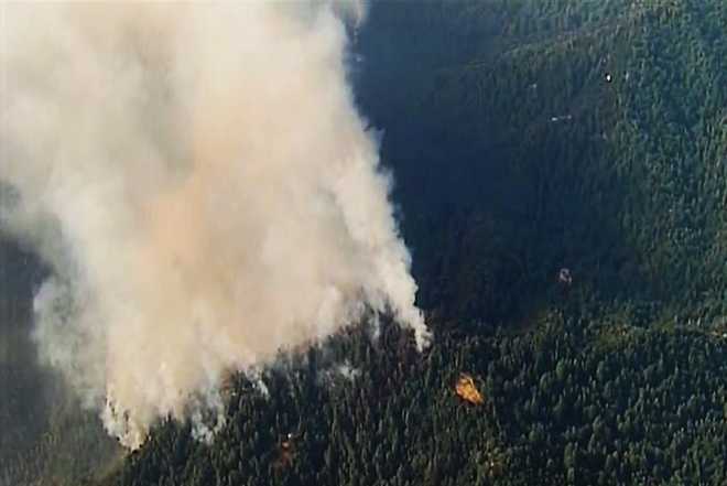 Bear Fire looter arrested; air attack resumes after drone incident