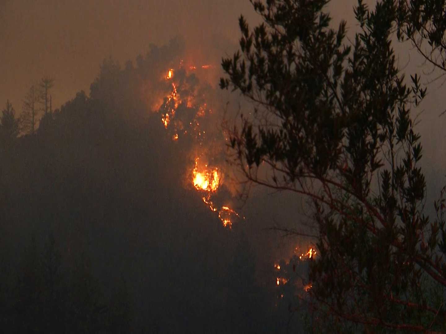 Bear Fire looter arrested air attack resumes after drone incident