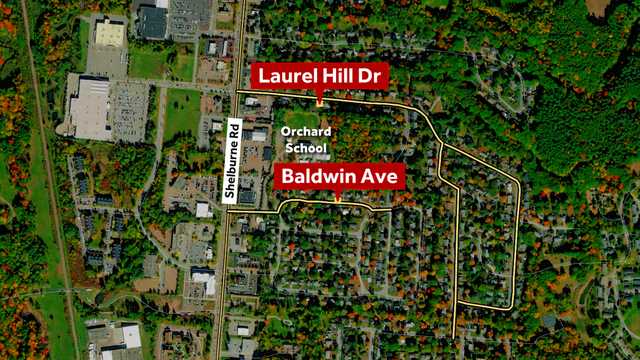 Bear spotted in South Burlington - Vimarsana News