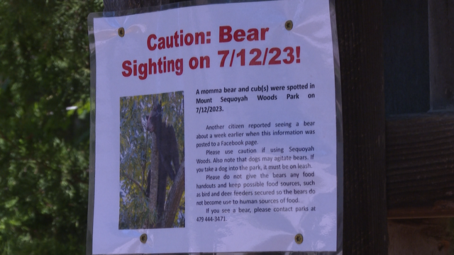 Officials warn of black bear sightings at hiking trail - Vimarsana News