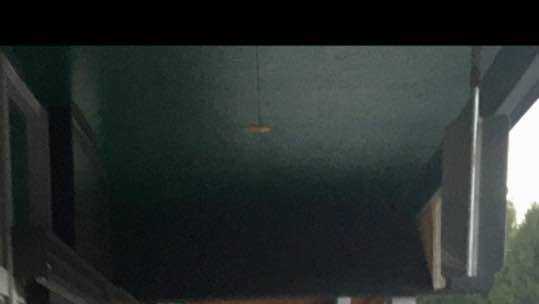 Bear wanders into City Hall in South Lake Tahoe