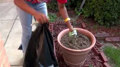 Jackson Public Schools to host beautification day