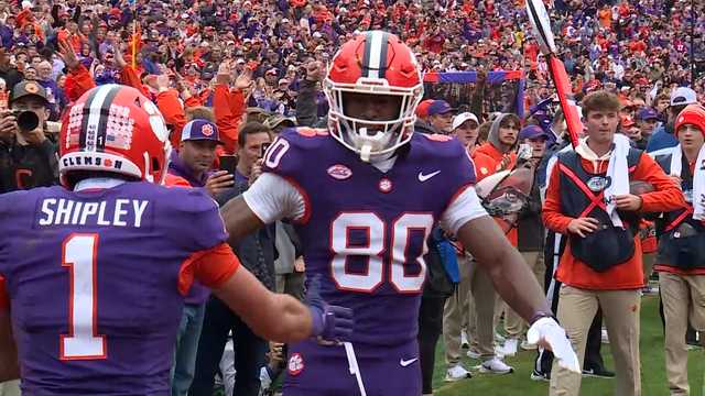 Tigers, Gamecocks lose players to portal, draft - Vimarsana News