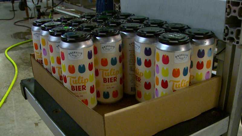 Gezellig Brewing Company brews new batch of tulip-flavored beer for Tulip Time