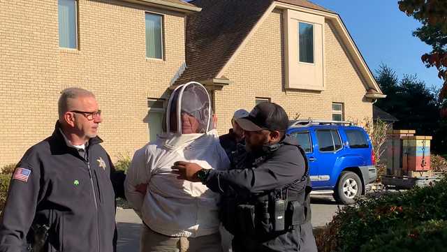 Massachusetts bee attack on deputies: Woman charged - Vimarsana News