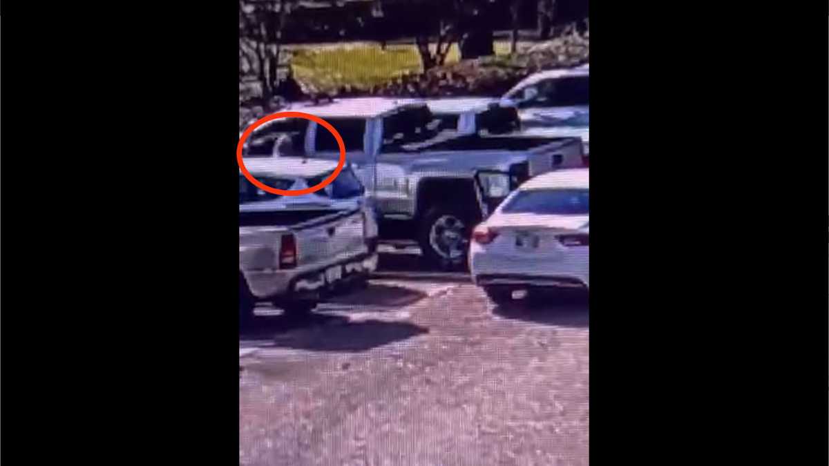 Belhaven University taking a stand after rash of crime on campus