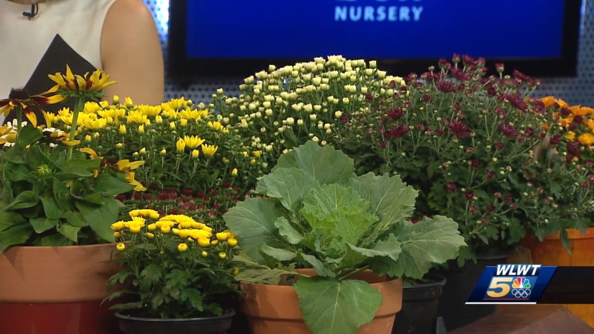 Bell Nursery helps keep your garden growing through Autumn
