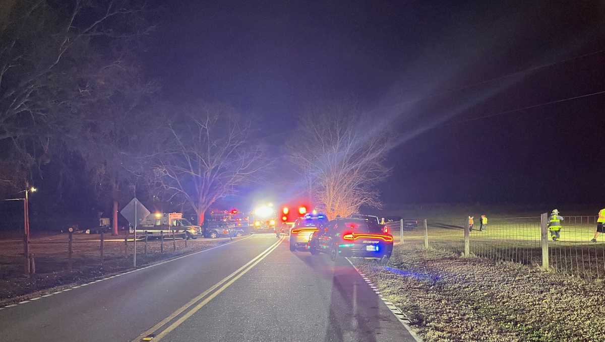 SC: Woman dies in crash when car hits tree - WYFF