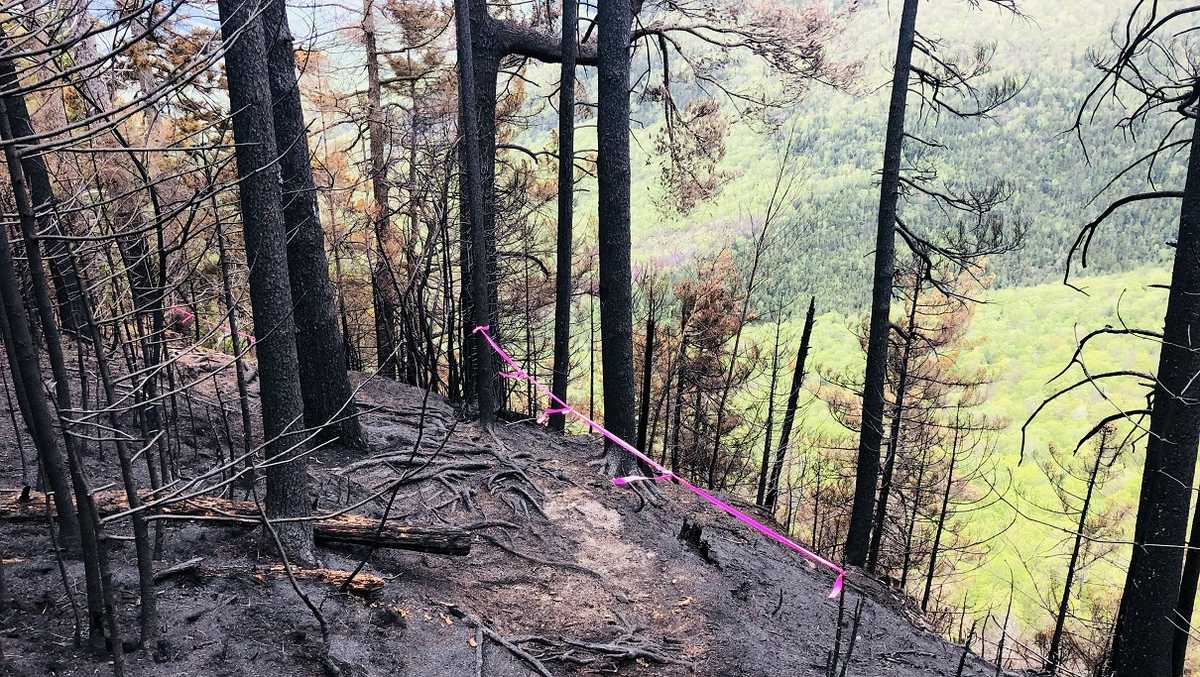 Officials contain more of New Hampshire forest fire