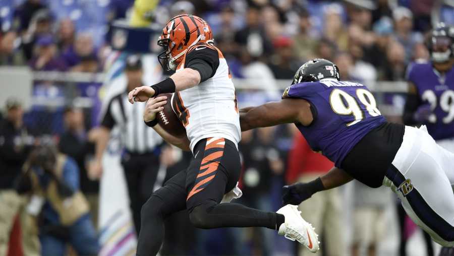 Cincinnati Bengals quarterback Andy Dalton, left, avoids a hit from Baltimore Ravens defensive end Brandon Williams (98) while scoring on a touchdown run during the second half of a NFL football game Sunday, Oct. 13, 2019, in Baltimore. The Ravens won 23-17. (AP Photo/Gail Burton)