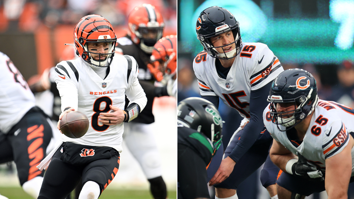 Is Brandon Allen the Bengals' backup QB of the future? - Cincy Jungle