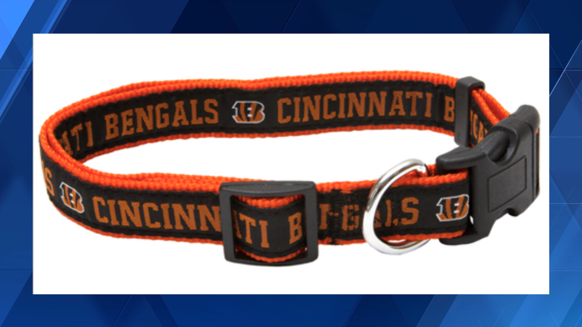 Cincinnati humane society offering special Bengals pet collars