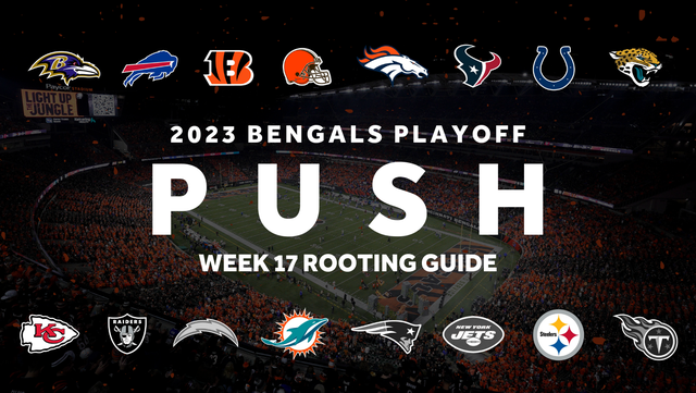 NFL Playoff Picture: Here's who Bengals fans should pull for in Week 17 - Vimarsana News