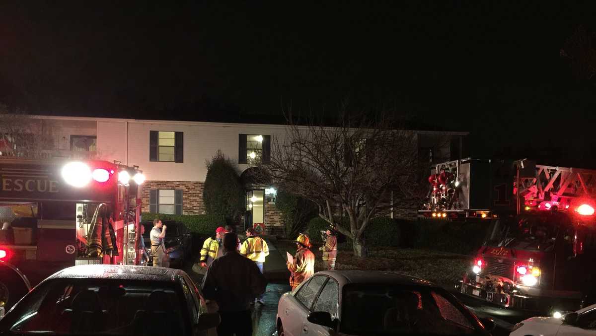 Fire damage at Greenville County apartment forces woman and cat out of ...