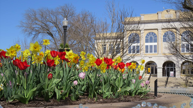 Hutchinson's launch highlights city of Bentonville, Arkansas - Vimarsana News