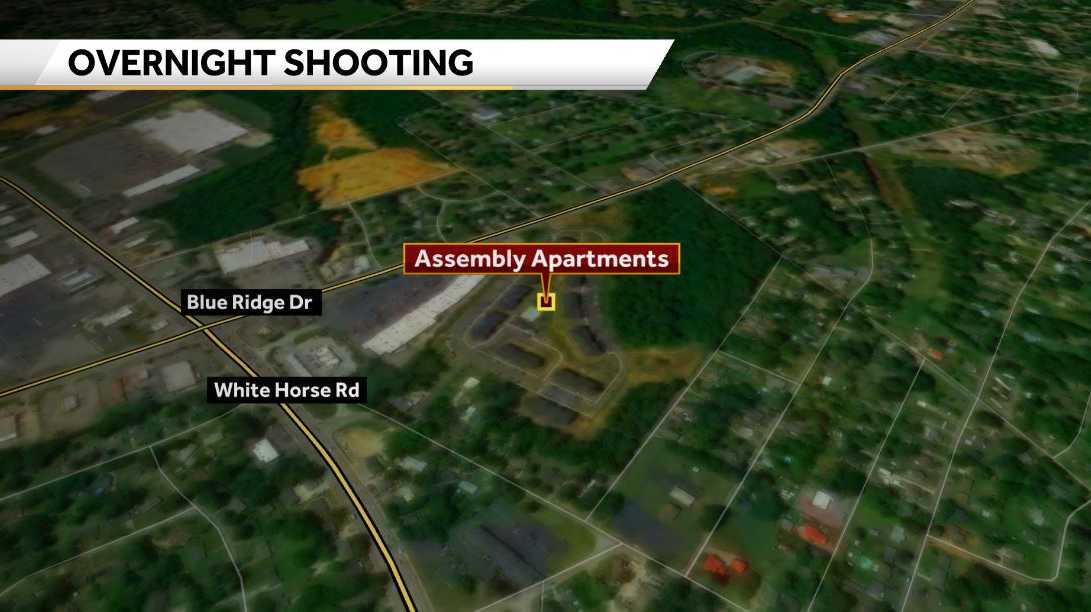 Man shot at Greenville County apartment complex, deputies say