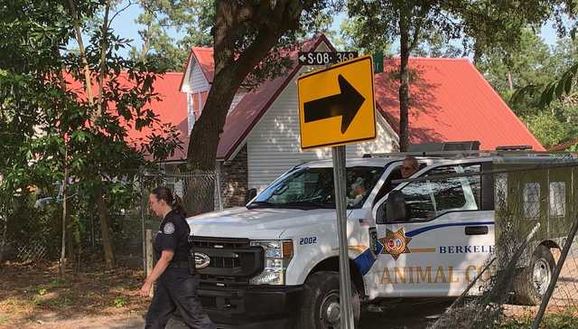 South Carolina: 77-year-old woman attacked by dog - Vimarsana News