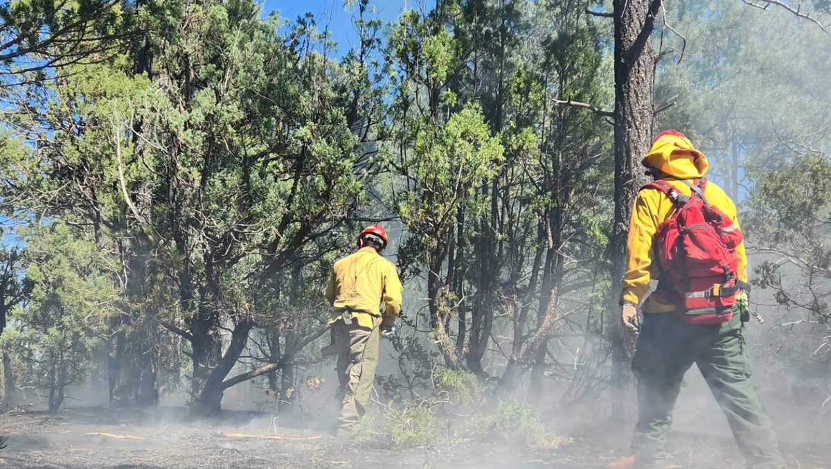 Fire contained in Bernalillo County