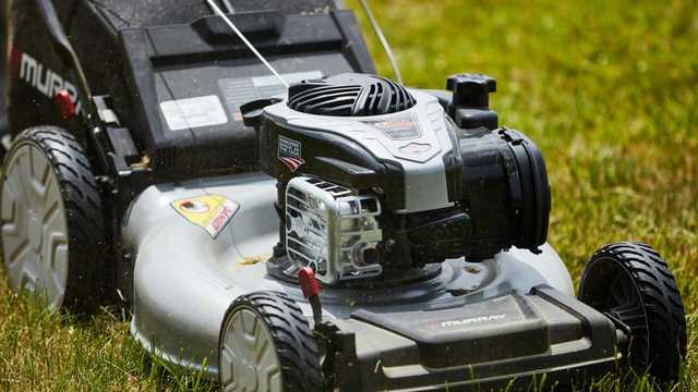 The best gas and electric lawn mowers for any yard in 2022 - Vimarsana News