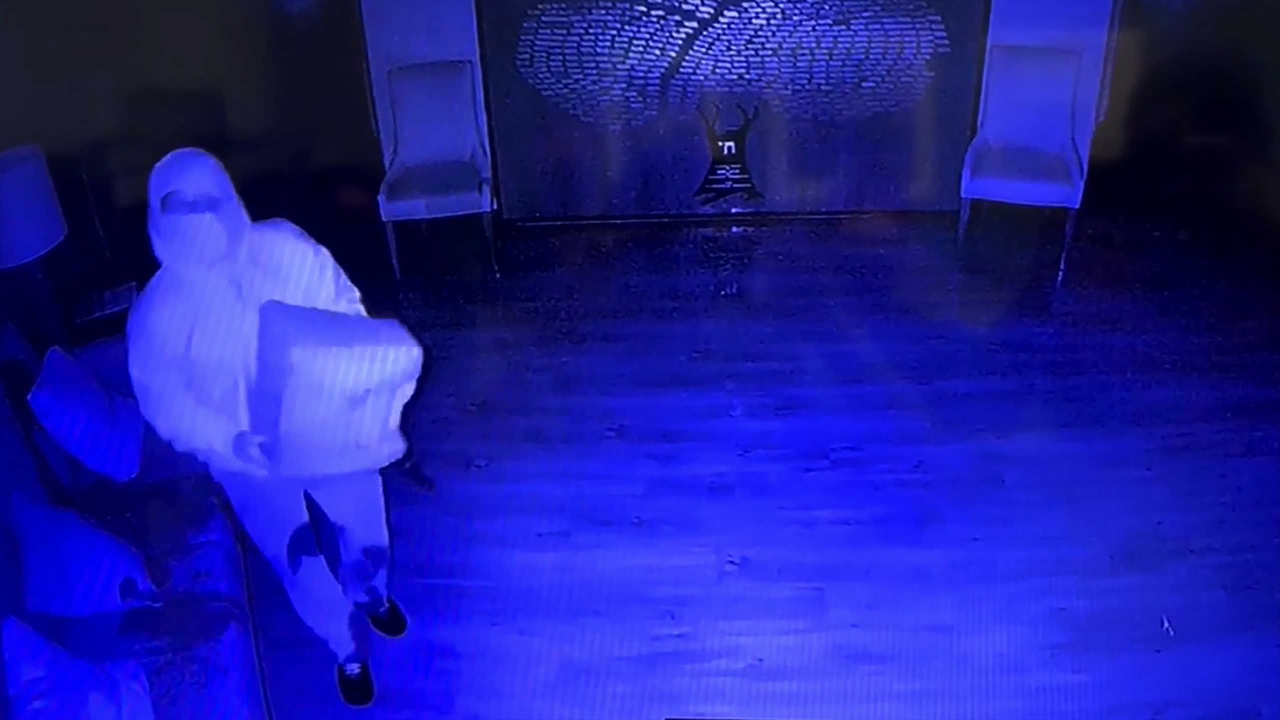 Synagogue arson suspect seeks bond