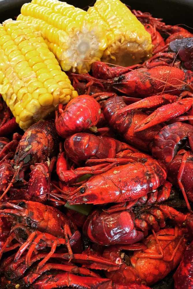 Craving crawfish? Where to get mudbugs