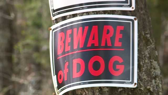 South Carolina: Update on woman injured in dog attack - Vimarsana News
