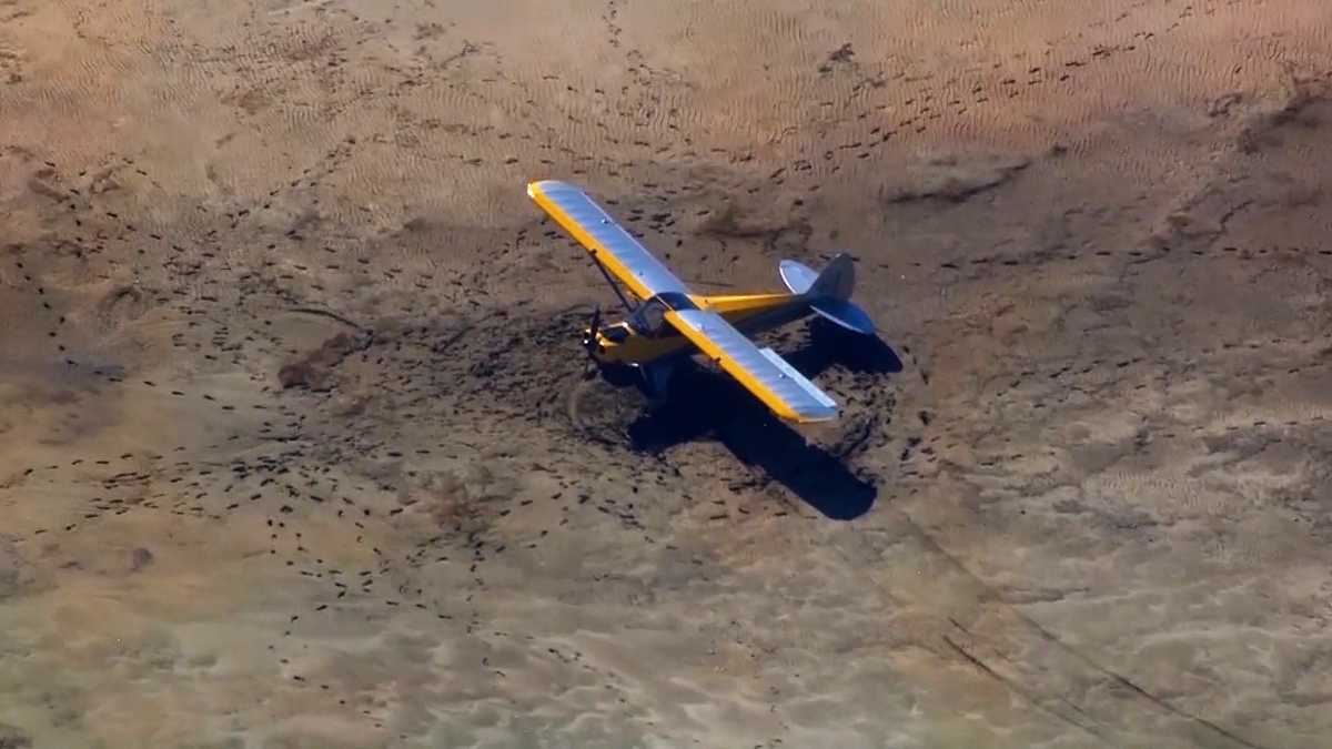 Plane makes emergency landing on sand bar