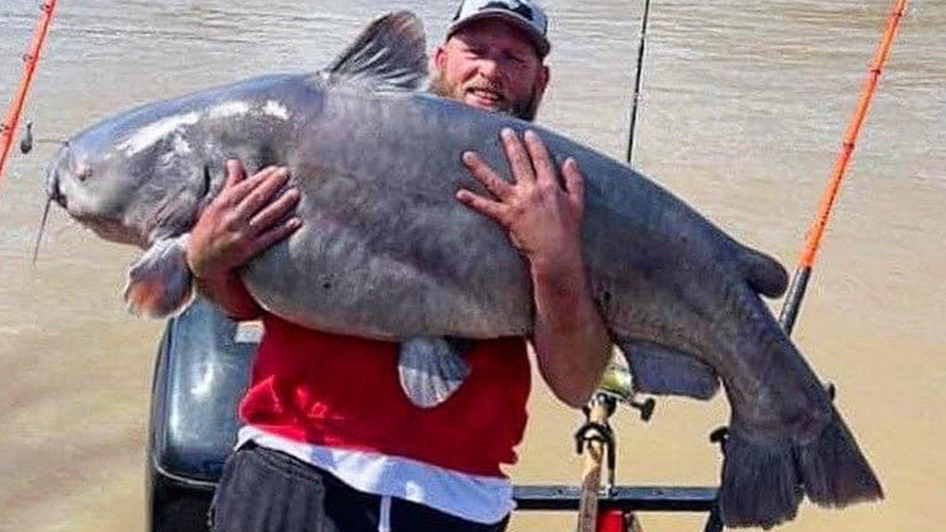 ohio river catfish        
        <figure class=