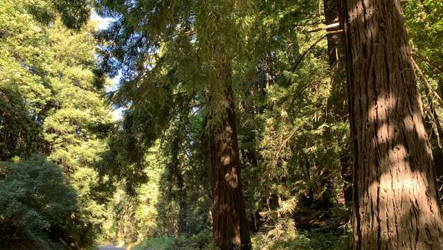 Big Sur trail reopens after closing from storm damage - Vimarsana News