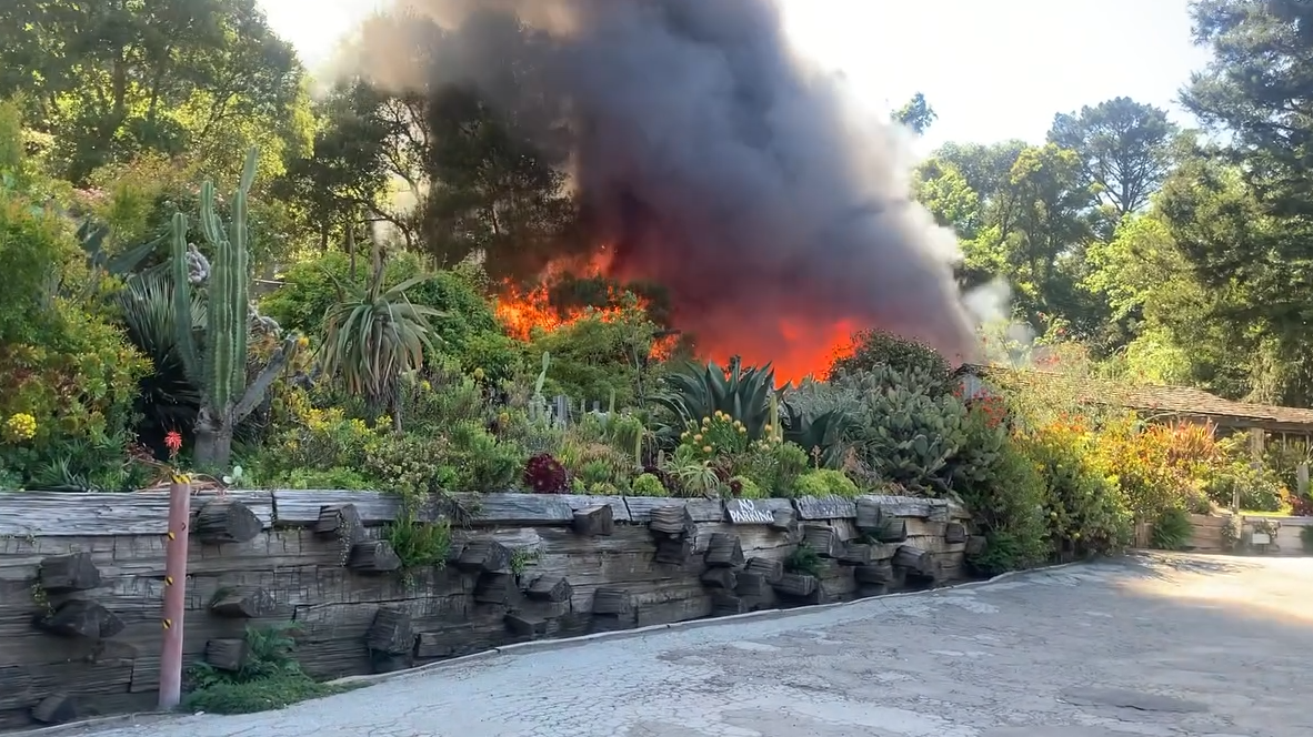 Video: Fire reported at Big Sur Bakery - Vimarsana News