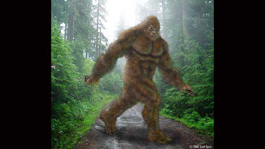This depiction of Bigfoot appears on the group Bigfoot 911's Facebook page