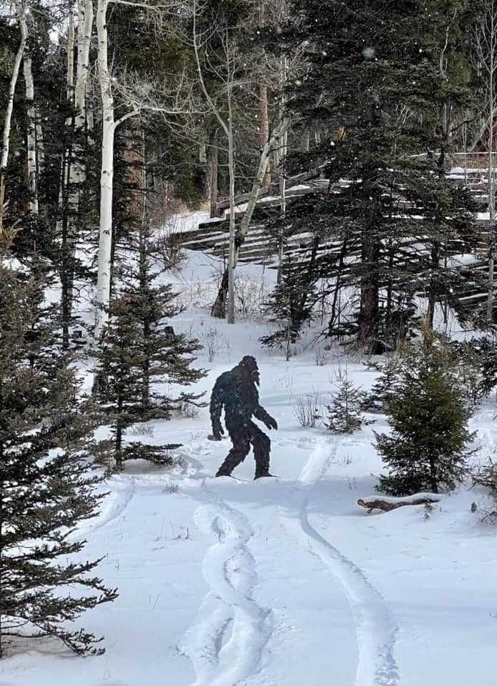 Humorous 'Bigfoot warning' issued by Taos County Sheriff's Office