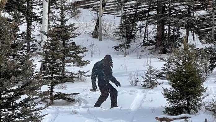 Humorous 'Bigfoot warning' issued by Taos County Sheriff's Office