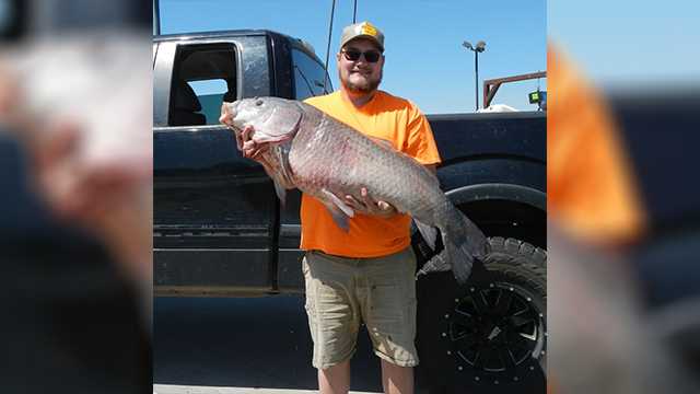 Man sets Oklahoma record by catching 66-pound bigmouth buffalo