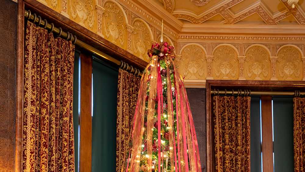 Biltmore Christmas tree arrives