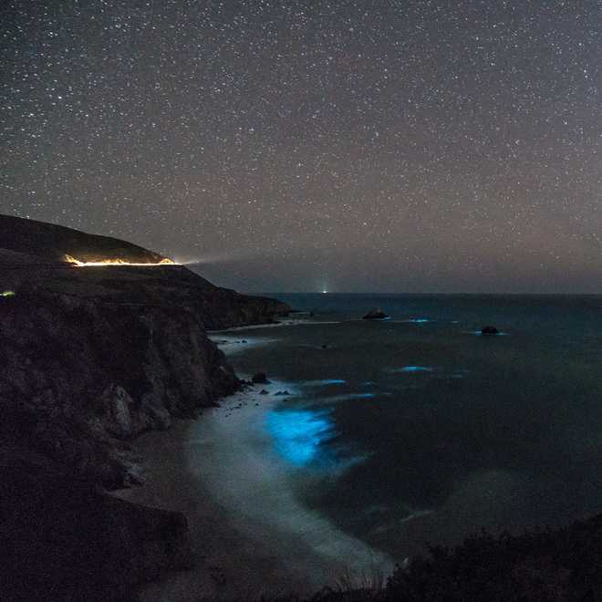 Santa Cruz County waves glow blue from Bioluminescent plankton