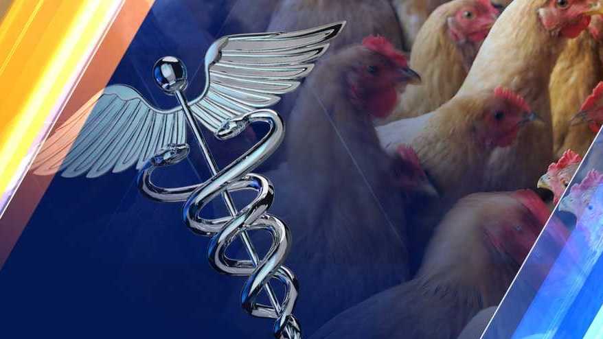 Avian Influenza Found In Poultry Facility In Marshall County