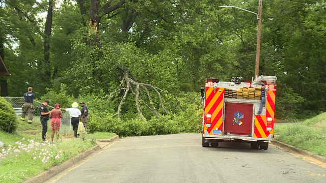 Birmingham woman injured after tree limb falls onto her home, trapping her on porch - Vimarsana News