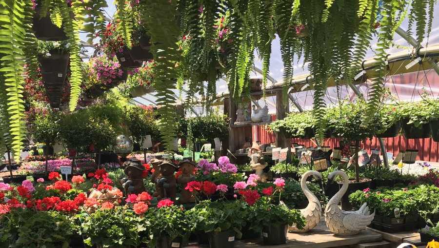 Viewers' Choice 2017: Best garden center